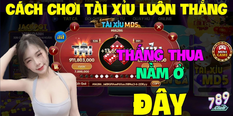 Quản lý tiền cược khi chơi game tài xỉu